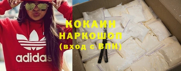 крисы Алексин
