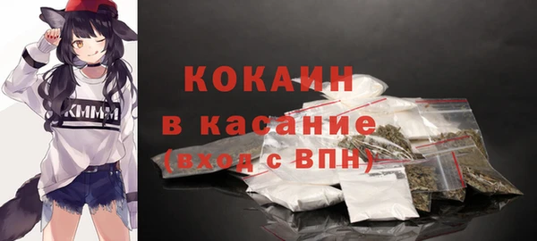 крисы Алексин
