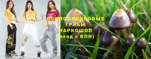 крисы Алексин