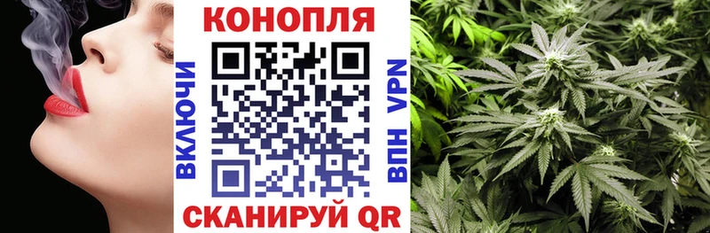 Бошки Шишки VHQ  блэк спрут tor  Беломорск  где купить наркоту 